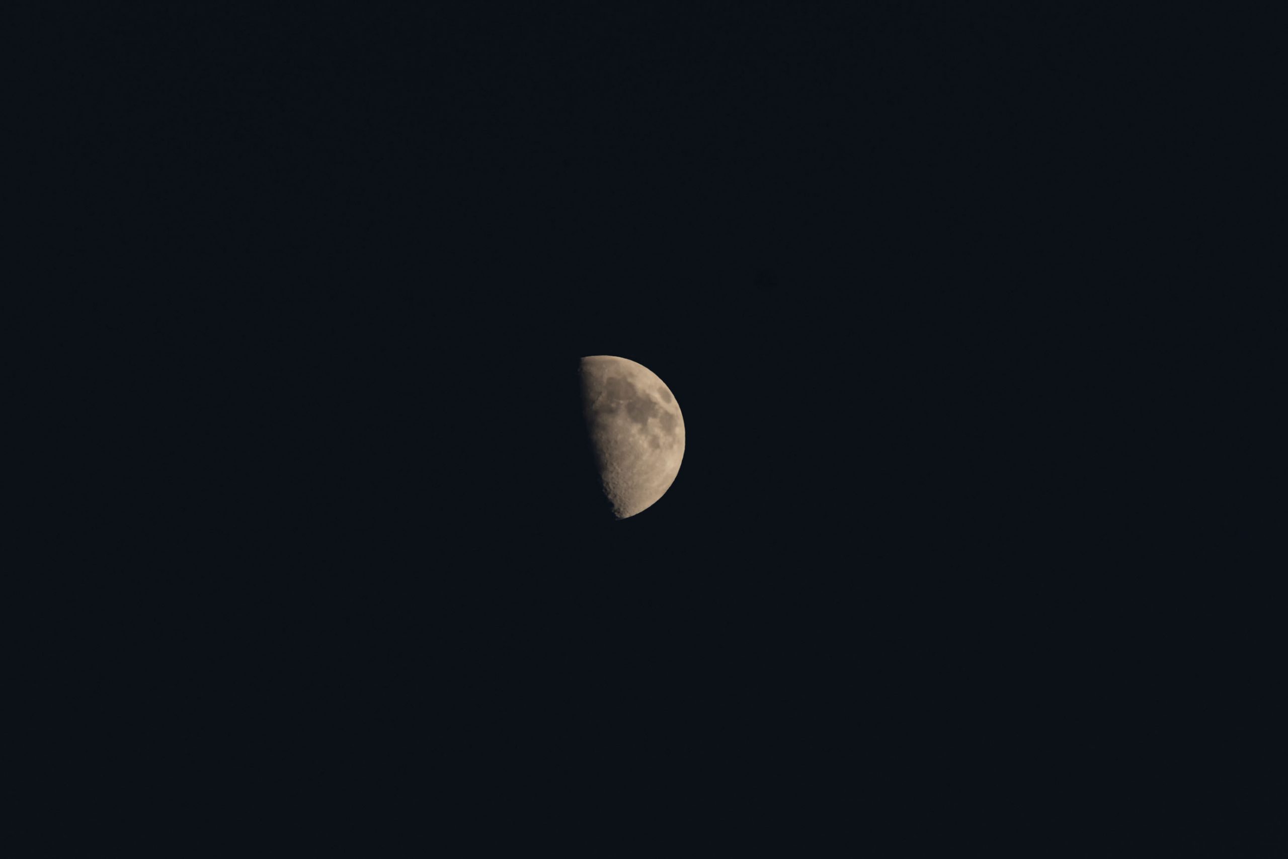 DSC_0075.1